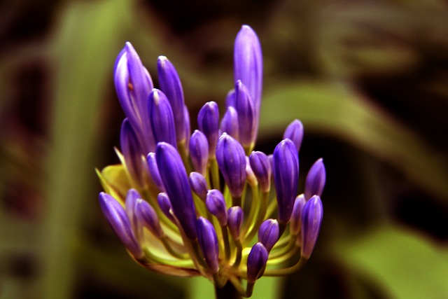 了意甲的竞 了意甲的竞