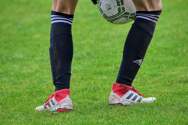 湖人管理层 湖人管理层