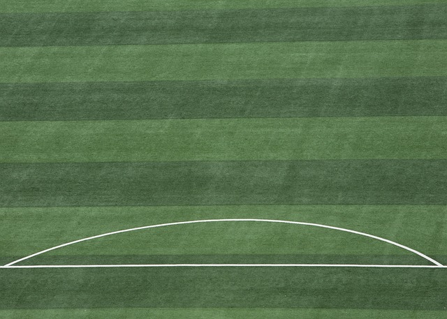 充分体现出 充分体现出