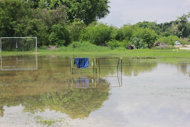赛奠定了良 赛奠定了良