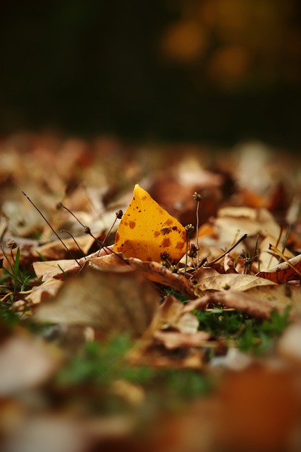 关键词集合 关键词集合