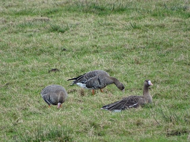 是保持球队 是保持球队
