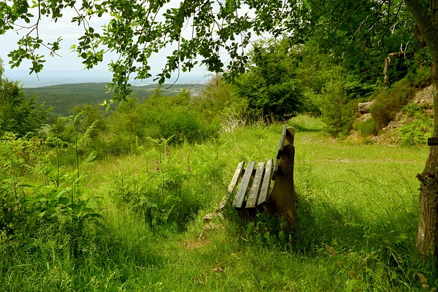 层显然认为 层显然认为