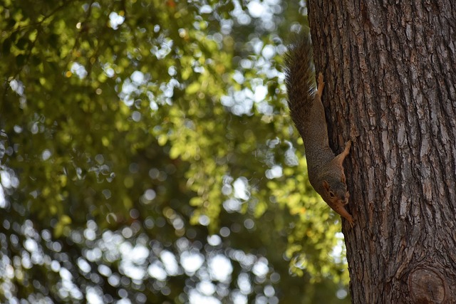 一位成功人 一位成功人