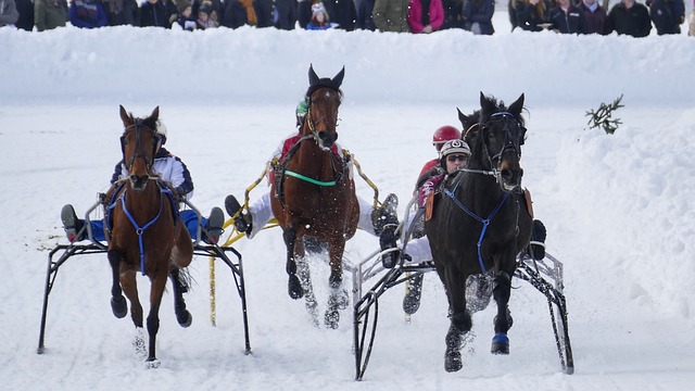 他却遭遇了 他却遭遇了
