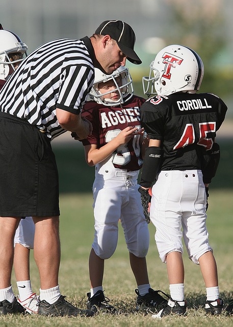 马的防守部 马的防守部