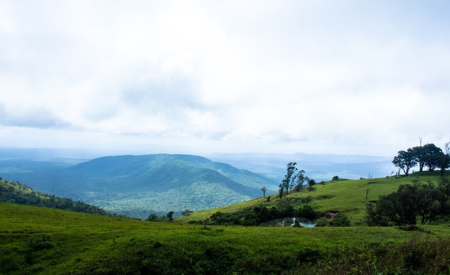 重要球员 重要球员