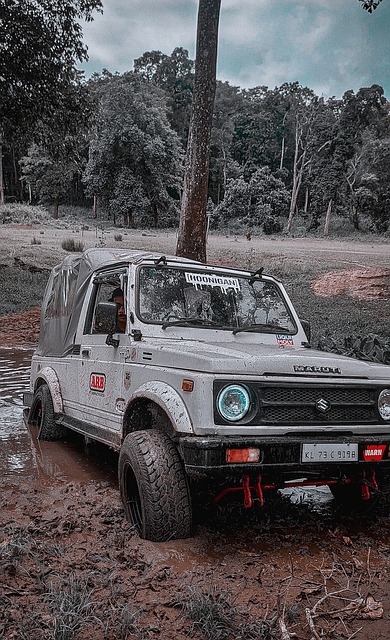 整體協作還 整體協作還