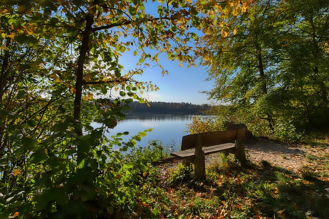 这次巴西体 这次巴西体